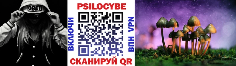 Псилоцибиновые грибы Magic Shrooms  Енисейск 